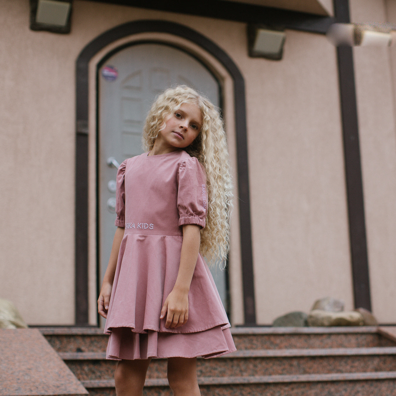Shiny Detailing Velvet Dress in Pink