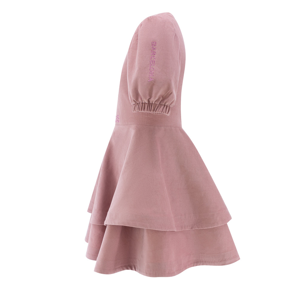 Shiny Detailing Velvet Dress in Pink